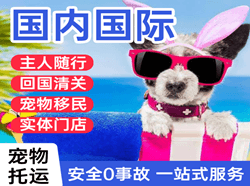 太原机场托运国际宠物托运 【国